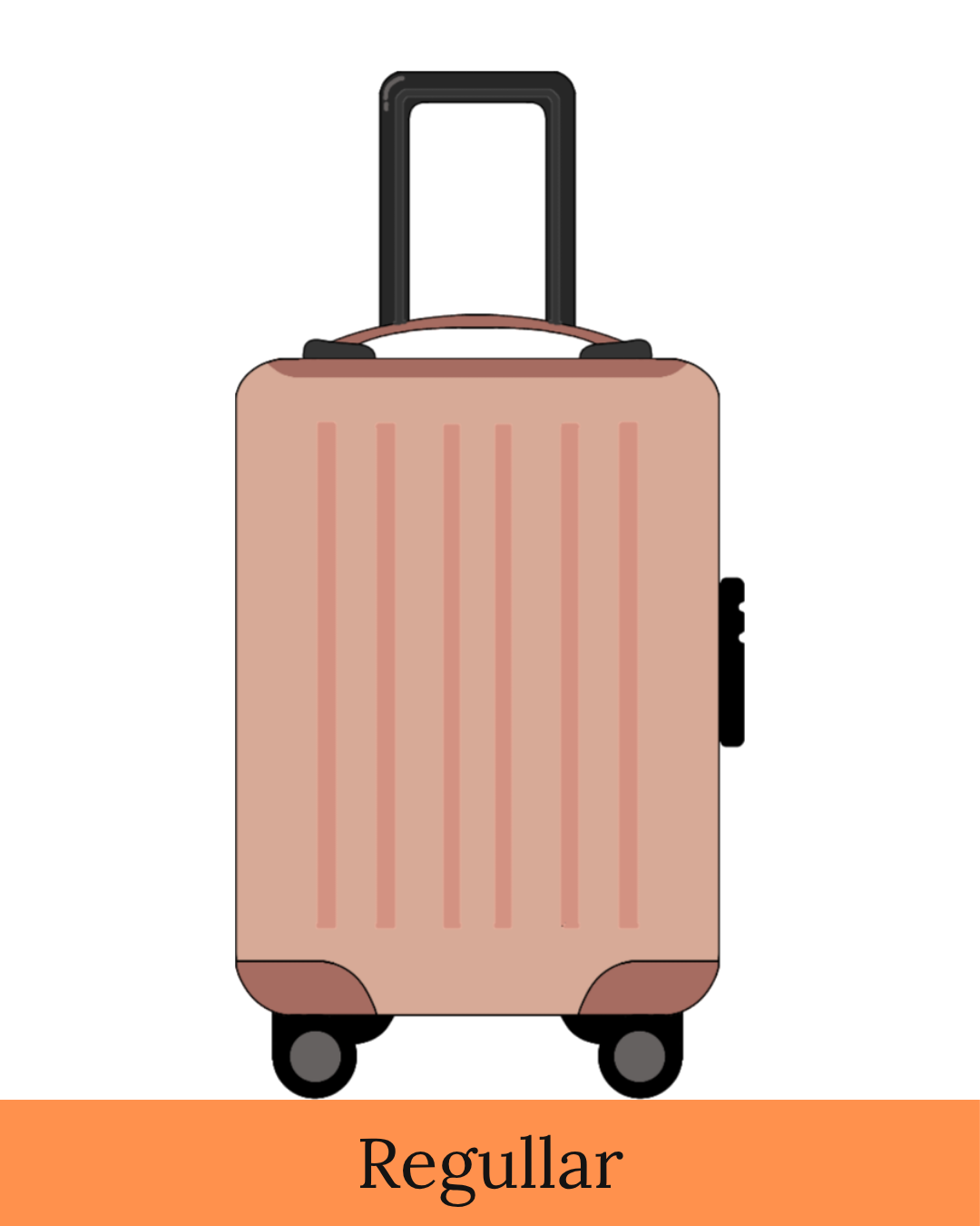 Regular Suitcase
